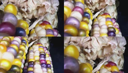 多色干印度玉米的宏观特写高清在线视频素材下载