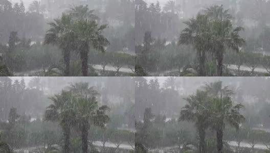 热带的风和雨落在绿色的棕榈树叶子上。飓风暴雨。旋风。热带暴雨在丛林中映衬着棕榈树。高清在线视频素材下载