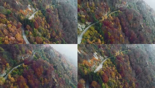 向前鸟瞰摩托车在彩色的秋天森林的道路上旅行。秋天有橙、绿、黄、红的树林。山雾街道路径建立。4k无人机飞行建立商店高清在线视频素材下载