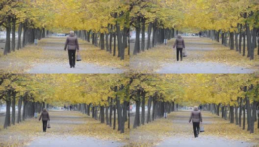 一个女人走在黄叶丛中高清在线视频素材下载