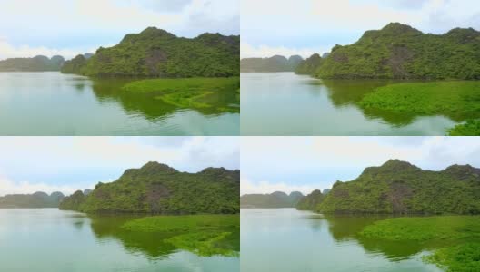 鸟瞰图洋湾表面与水植物种植园高清在线视频素材下载