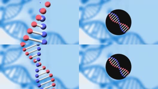 DNA菌株在蓝色背景下旋转的动画高清在线视频素材下载