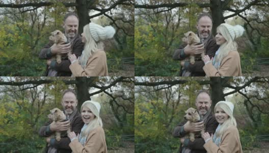 季节肖像的成熟夫妇和狗在林地公园高清在线视频素材下载