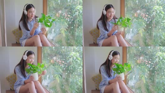 可爱的亚洲年轻女子喜欢看盆中绿色植物，她坐在窗前的玻璃高清在线视频素材下载