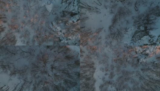 从上到下拍摄的冰冻冬季森林无人机库存视频，4k帧率60 /秒高清在线视频素材下载