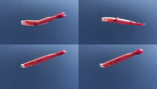 鱼风筝在日内瓦湖上空飞翔高清在线视频素材下载