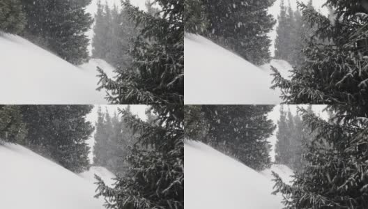 圣诞节期间森林里冬天会下雪高清在线视频素材下载