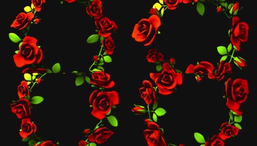 黑色文本空间上的红玫瑰框架高清在线视频素材下载