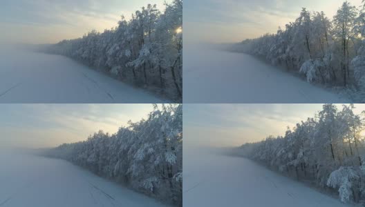 镜头:冬日里，白雪覆盖的森林和薄雾笼罩的空地后面，金色的日出高清在线视频素材下载