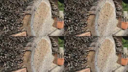 春天里，野蜂在昆虫旅馆的庇护所前飞翔。由木干、竹子制成。高清在线视频素材下载