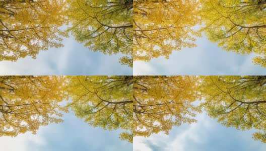 延时:日本东京立川花园，美丽的天空高清在线视频素材下载