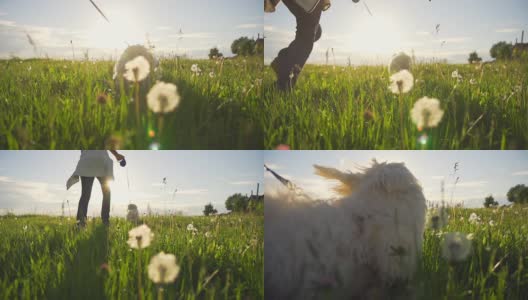 高清超级慢动作:背光拍摄的一个女人和狗高清在线视频素材下载