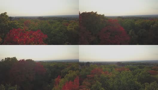 鸟瞰图的秋天景观，多色的树顶高清在线视频素材下载