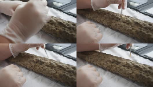 一位古生物学家刷去了一具鳞翅目植物化石根上的污垢高清在线视频素材下载