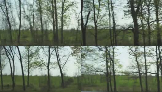 绿色的田野和树木的道路视图高清在线视频素材下载