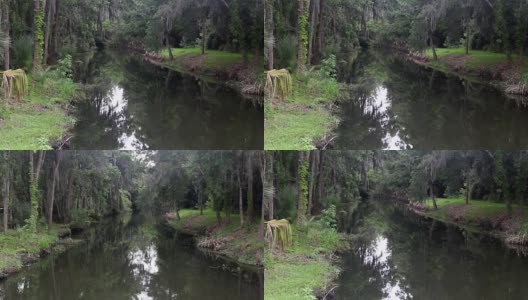 佛罗里达湿地小雨高清在线视频素材下载