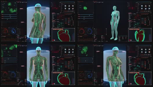女性人体扫描淋巴系统在数字显示仪表盘。高清在线视频素材下载