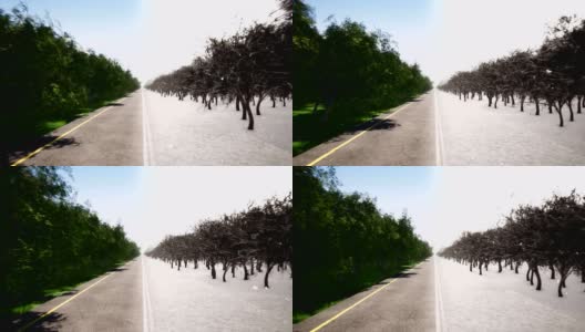 夏季和冬季道路运动3d现实镜头。季节性景观。年循环和时间变化，概念动画。寒冷和温暖的天气。落雪在森林抽象视频高清在线视频素材下载