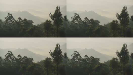在一个雾蒙蒙的早晨，印度芒纳的山峦景观高清在线视频素材下载
