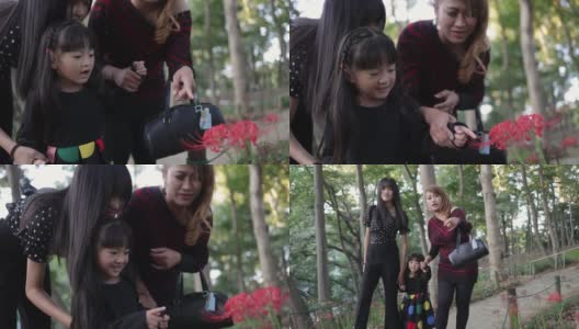 母亲和两个孩子在公园里抚摸红蜘蛛百合高清在线视频素材下载