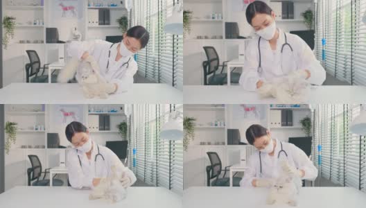亚洲兽医在兽医诊所预约时为猫检查。在宠物医院，专业的女兽医站在检查台用听诊器工作，检查小动物小猫高清在线视频素材下载