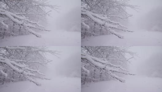 一个寒冷的冬天，有雪，有风，有雾高清在线视频素材下载