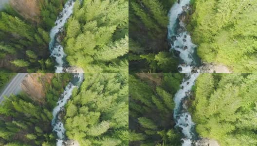 飞流直下，河流湍急，峡谷路上的高大树木高清在线视频素材下载