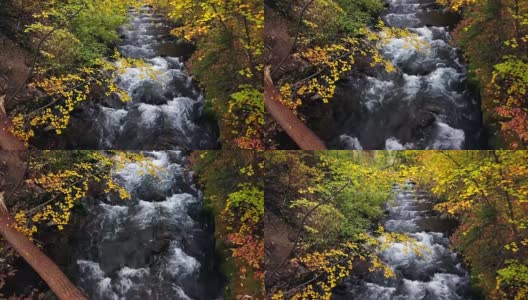 秋天流动的山溪高清在线视频素材下载