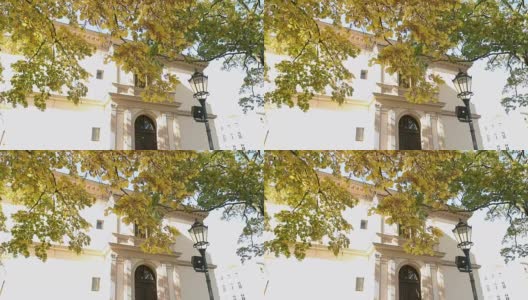 美丽的大树带着秋天的黄叶在老别墅前，树带着黄叶在背景上的一幢老建筑和一盏路灯高清在线视频素材下载