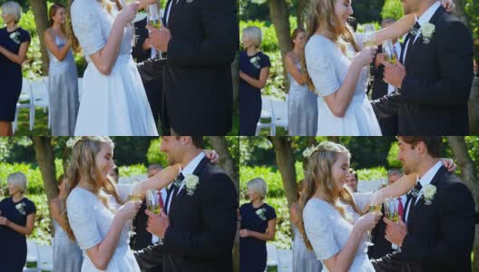 年轻的新娘和新郎用香槟敬酒高清在线视频素材下载