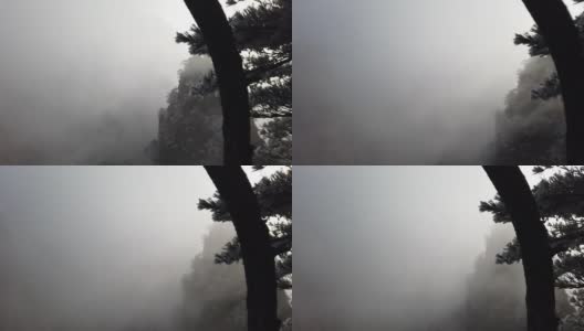 雾在山顶黄山或黄山与霜松，黄山，中国高清在线视频素材下载