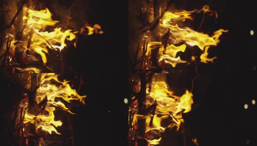 VER SLOMO的篝火在黑夜中闪烁高清在线视频素材下载