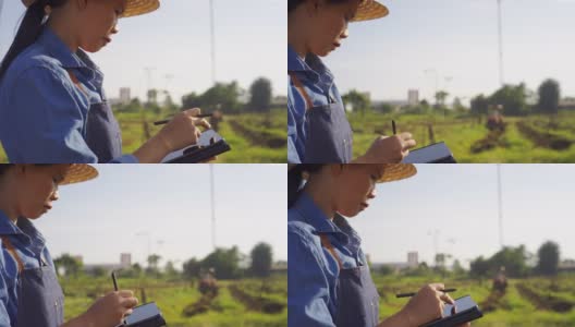 亚洲女农民用便携式平板电脑检查农田里的农机高清在线视频素材下载