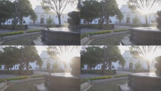 危地马拉安提瓜中央公园美人鱼喷泉的日出——鸽子在危地马拉安提瓜美丽的殖民公园喷泉上空飞翔高清在线视频素材下载