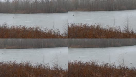 在寒冷的冬天，用平底锅扫视冰冻的湖面高清在线视频素材下载