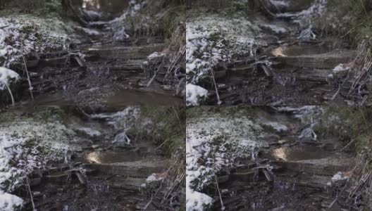 冬季森林中小溪的镜头高清在线视频素材下载