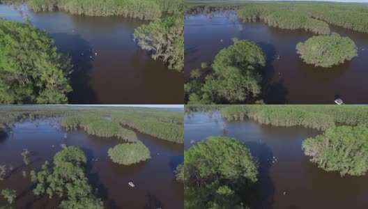 Caddo_Lake_Aerial_IMG_4207高清在线视频素材下载