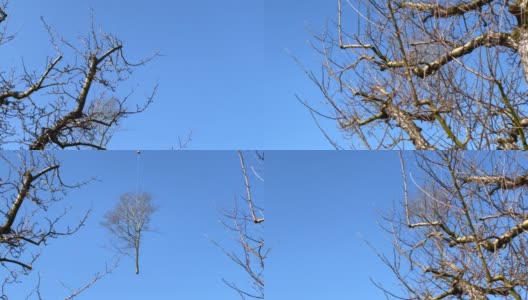 用直升机在空中运送的干树高清在线视频素材下载