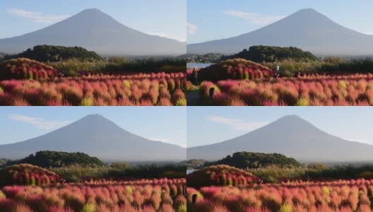 山梨县川口湖畔的富士山高清在线视频素材下载