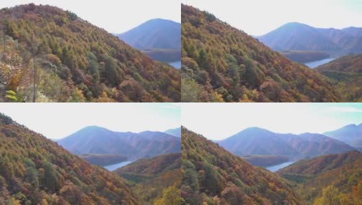 摇摄:日本福岛相珠松中津川桥与秋红叶林高清在线视频素材下载