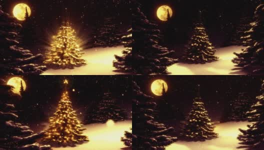 温暖的冬季景观与圣诞树装饰的北极星。高清在线视频素材下载