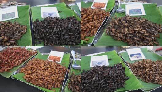 泰国街头小吃:烤香粉虫，虫子，油炸幼虫，泰国高清在线视频素材下载