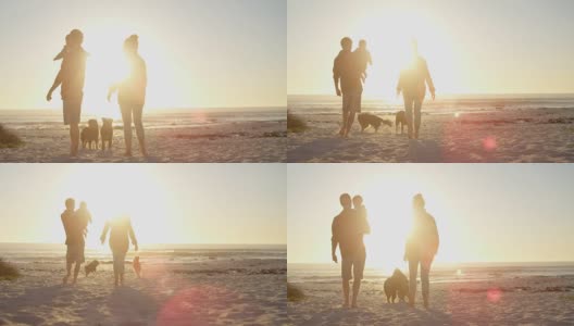家人和他们的狗在海滩玩4k高清在线视频素材下载