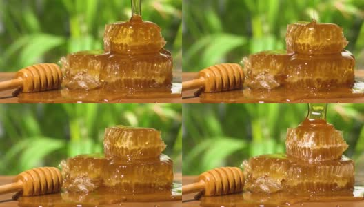 蜂蜜在蜂巢上缓慢流动高清在线视频素材下载