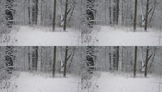 冬天的森林里正在下雪。森林里的一条小路，刚下过的雪上有脚印。高清在线视频素材下载