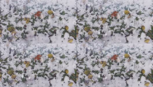 Cinemagraph背景与雪和秋天的叶子高清在线视频素材下载