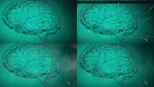 动画大脑与技术和数据处理高清在线视频素材下载