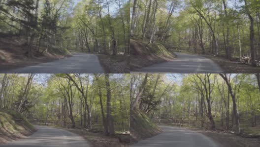 弯曲的森林道路高清在线视频素材下载
