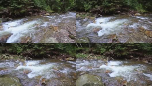山涧、森林、河流中湍急的水流。高清在线视频素材下载