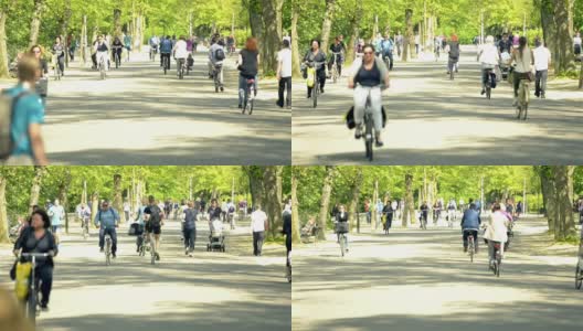 阿姆斯特丹的Vondelpark和骑车人高清在线视频素材下载